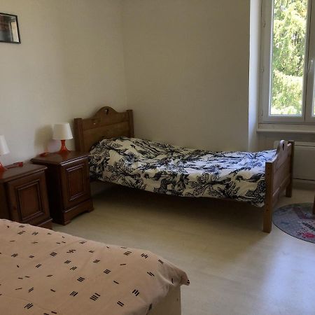 Chambres Individuelles Avec Partie Commune Ou Logement Entier Si Disponible Via Rhona Vulbens Екстериор снимка